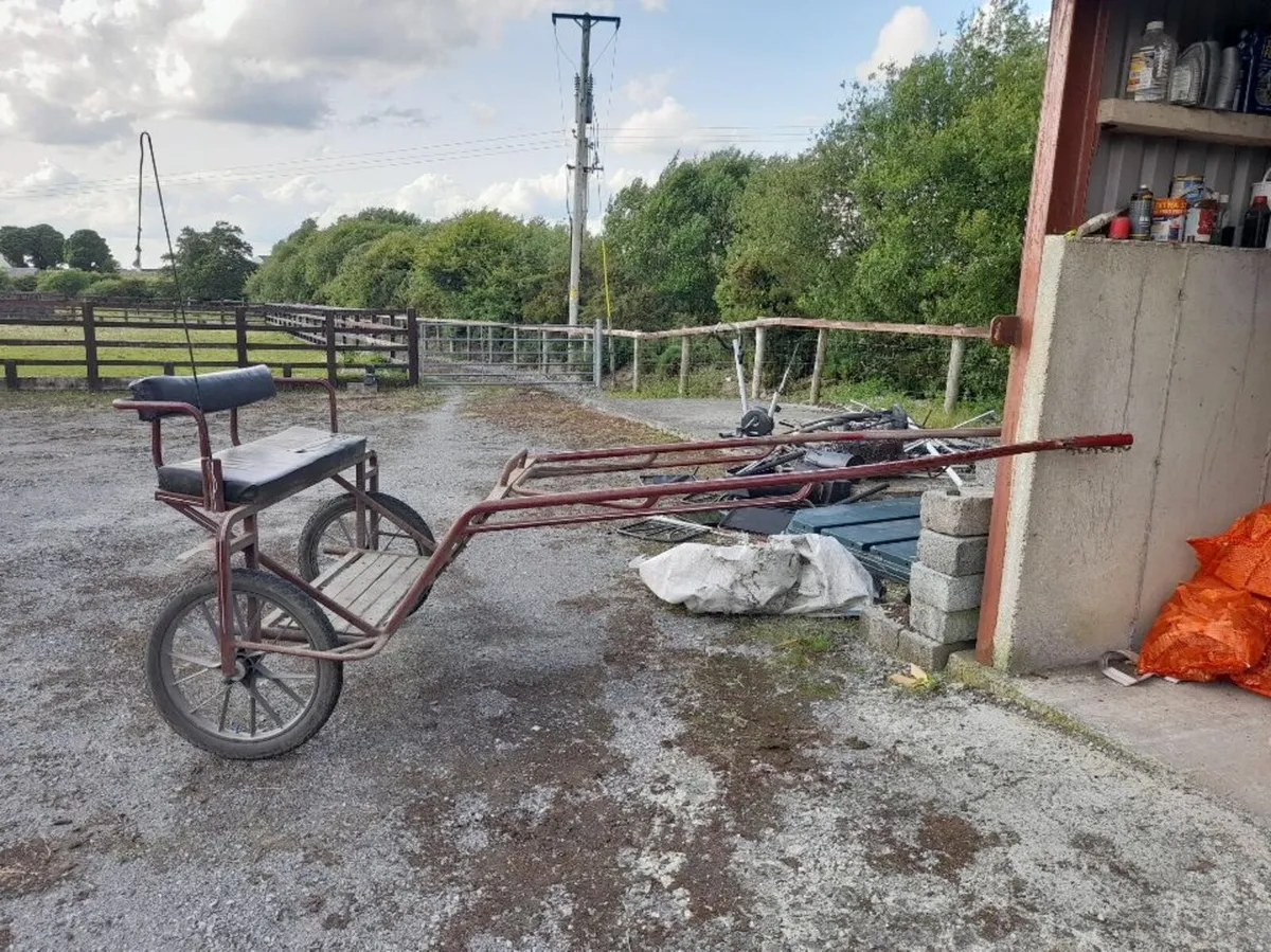 Cob to full size road cart - Image 4