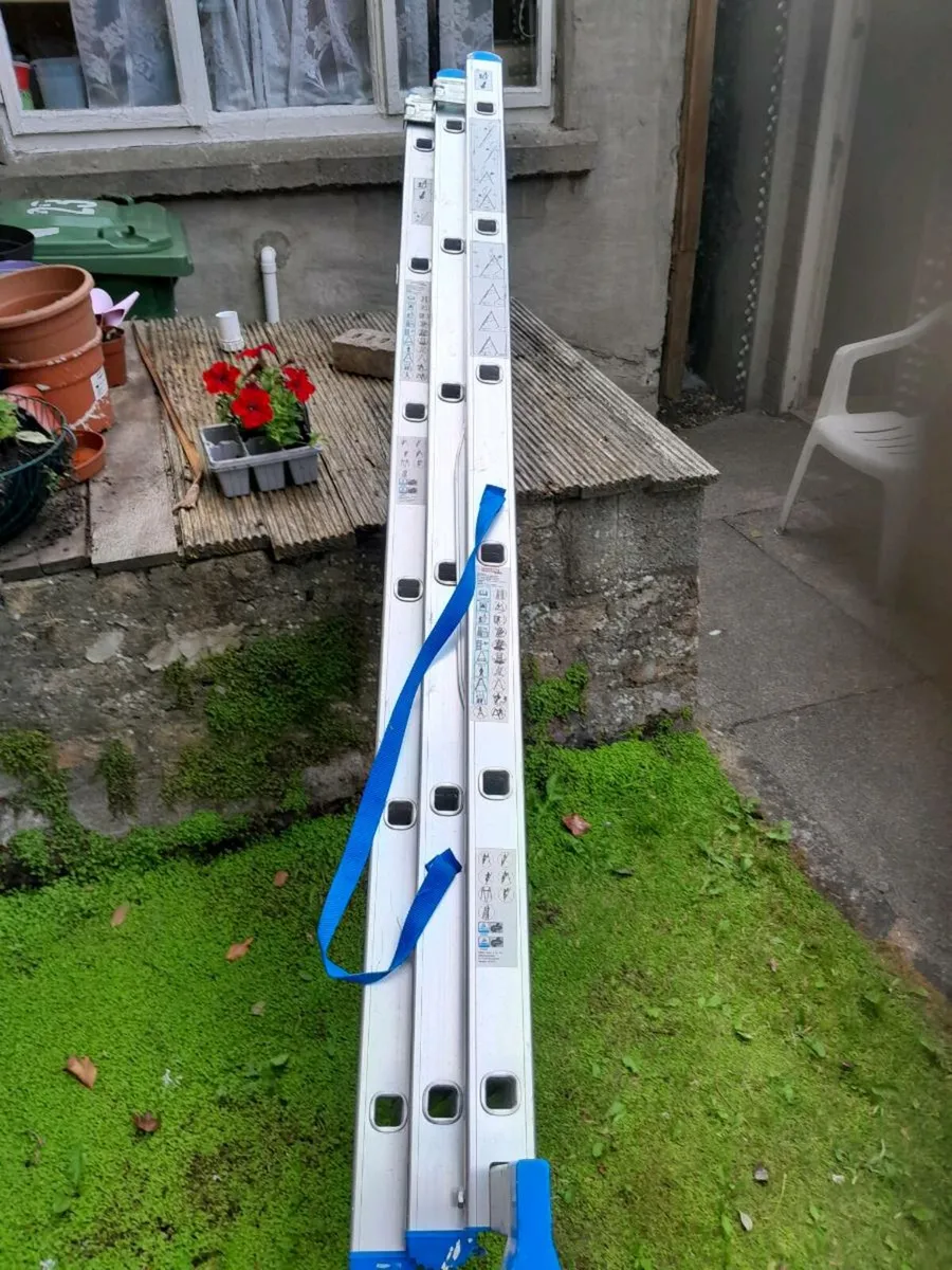 Ladder - Image 2