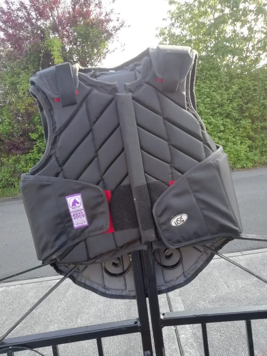 Body protector