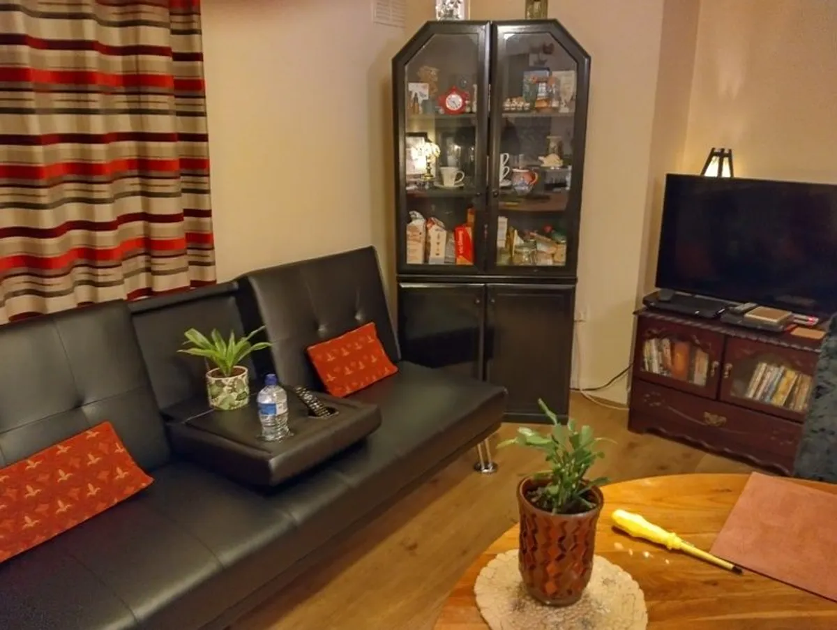 Sofa Bed - Image 4