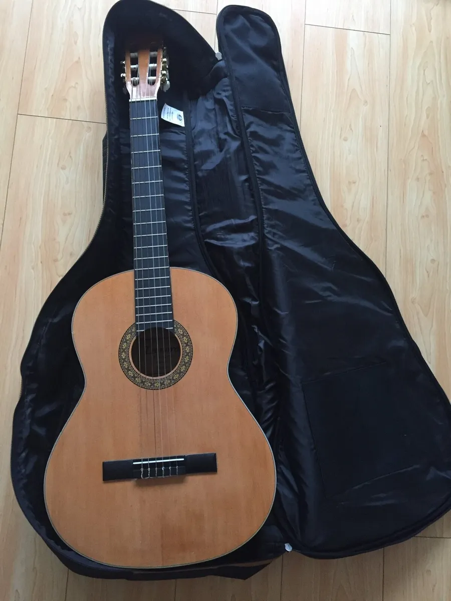 Guitar - Image 2