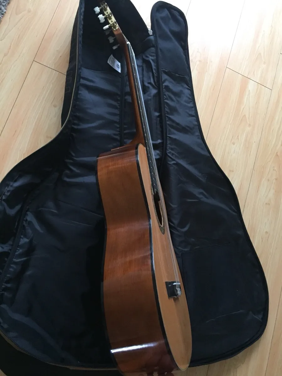 Guitar - Image 3