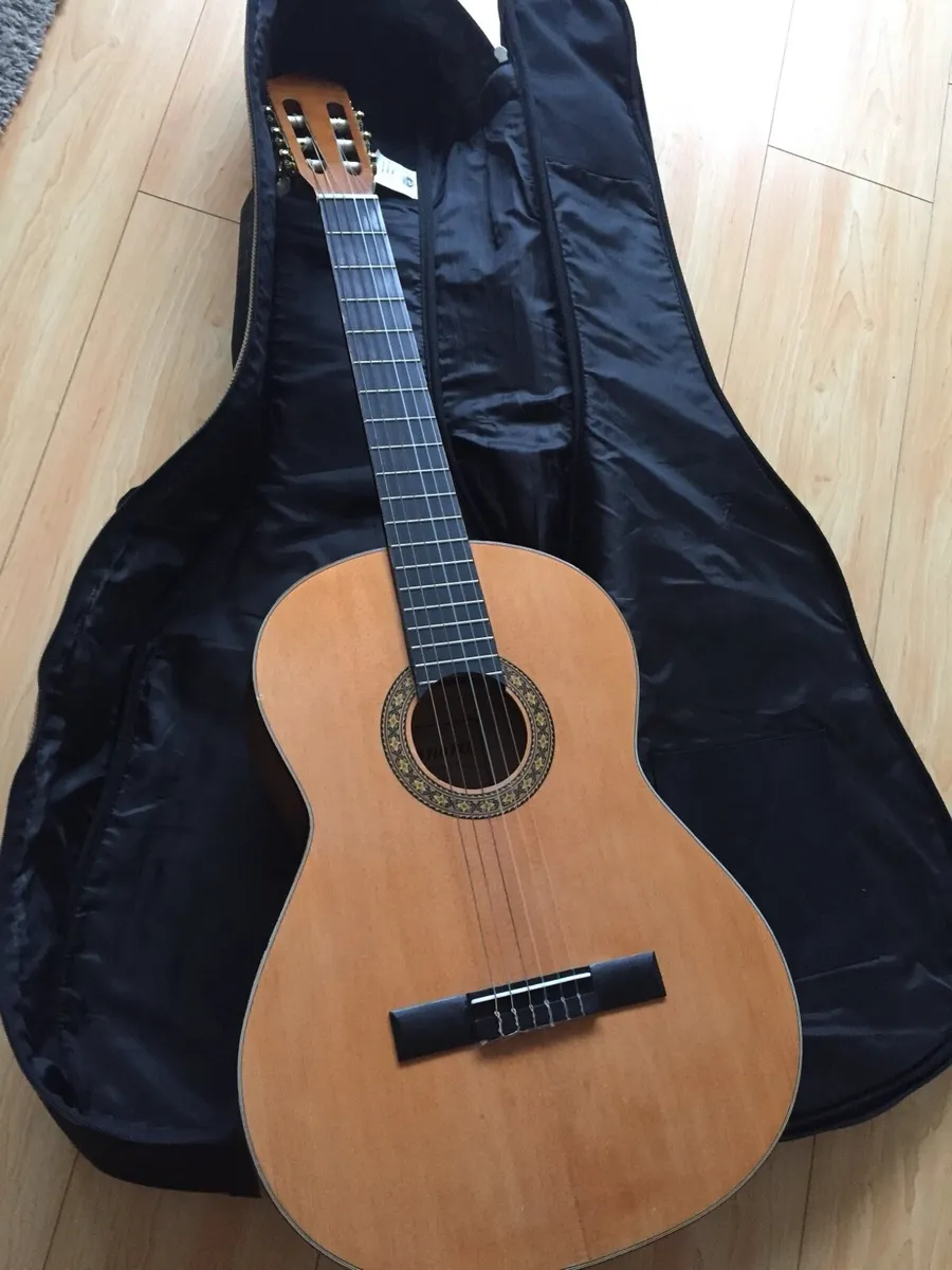 Guitar - Image 4