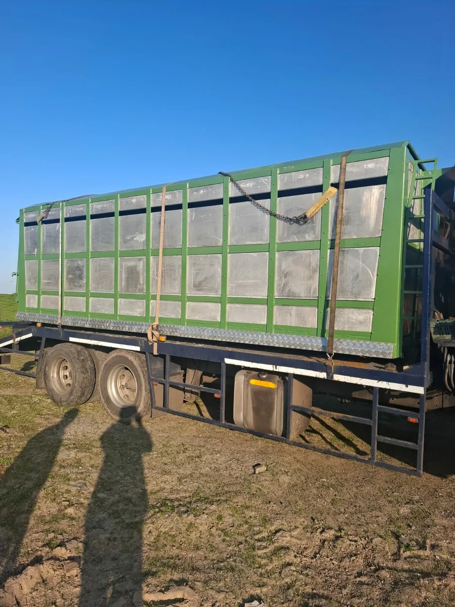 Cattle Body (Looby) 20 ft - Image 1