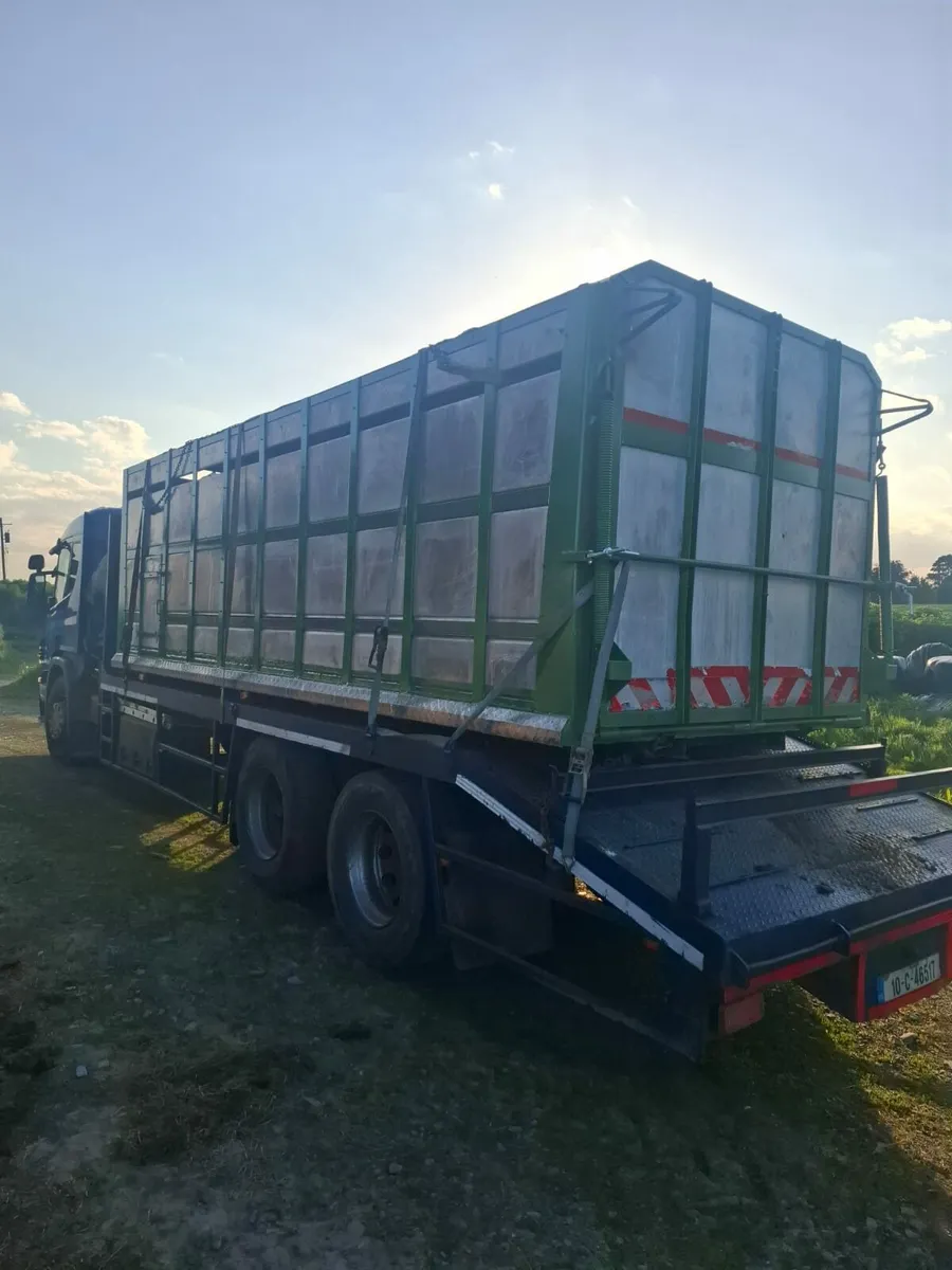 Cattle Body (Looby) 20 ft - Image 2