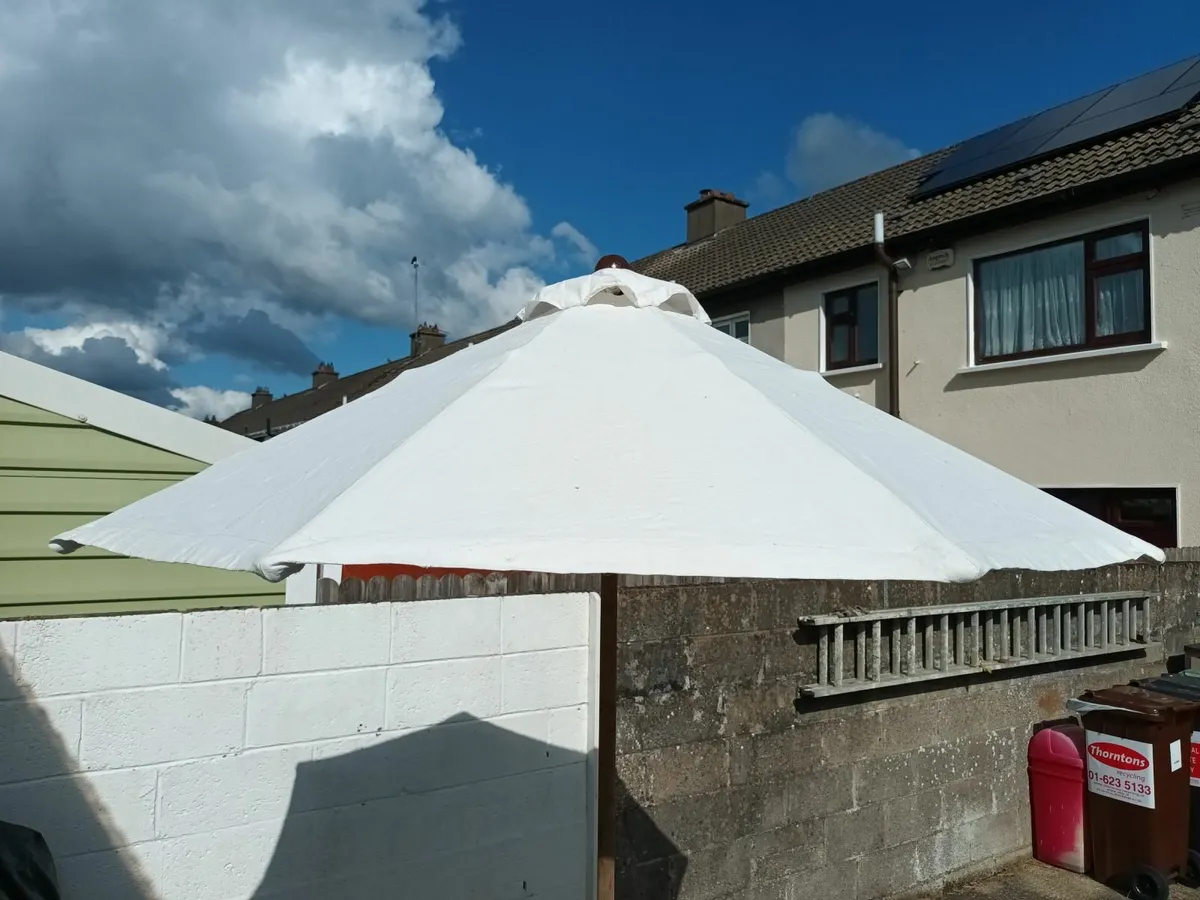 White Parasol - Image 2