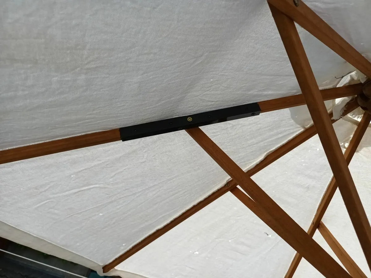 White Parasol - Image 4