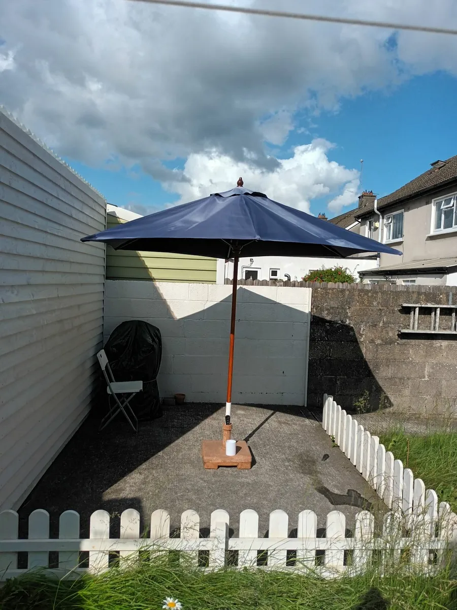 Large Blue Parasol - Image 1