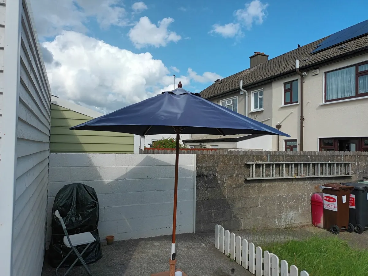 Large Blue Parasol - Image 2