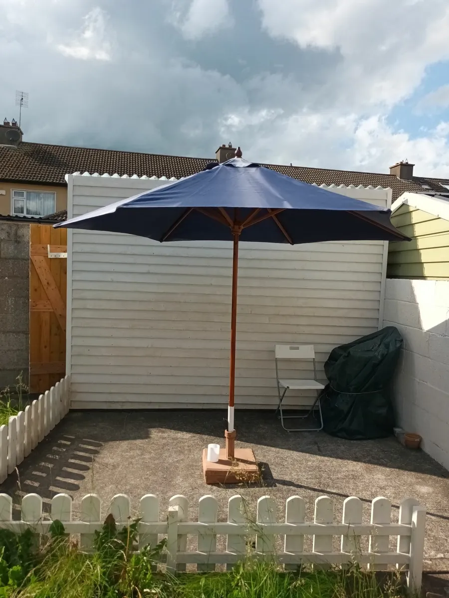 Large Blue Parasol - Image 3
