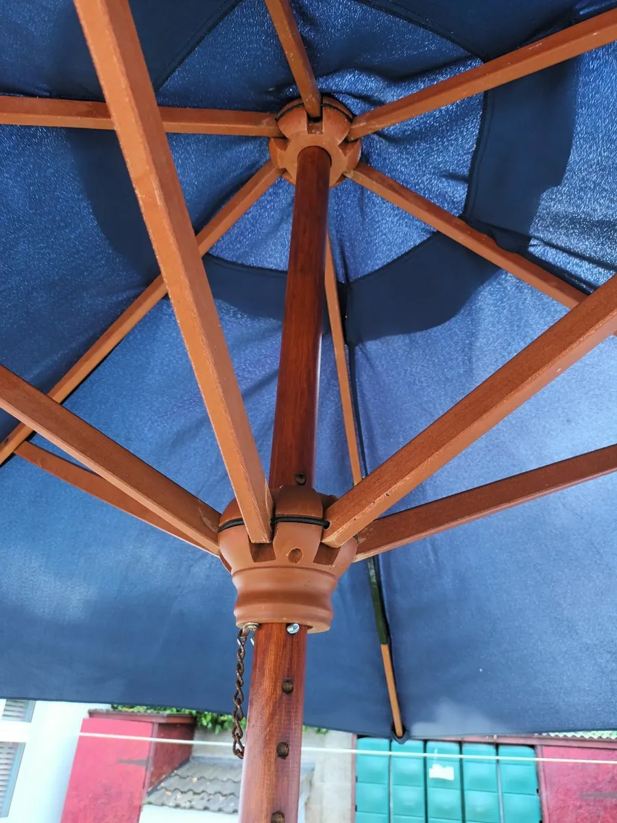 Large Blue Parasol - Image 4