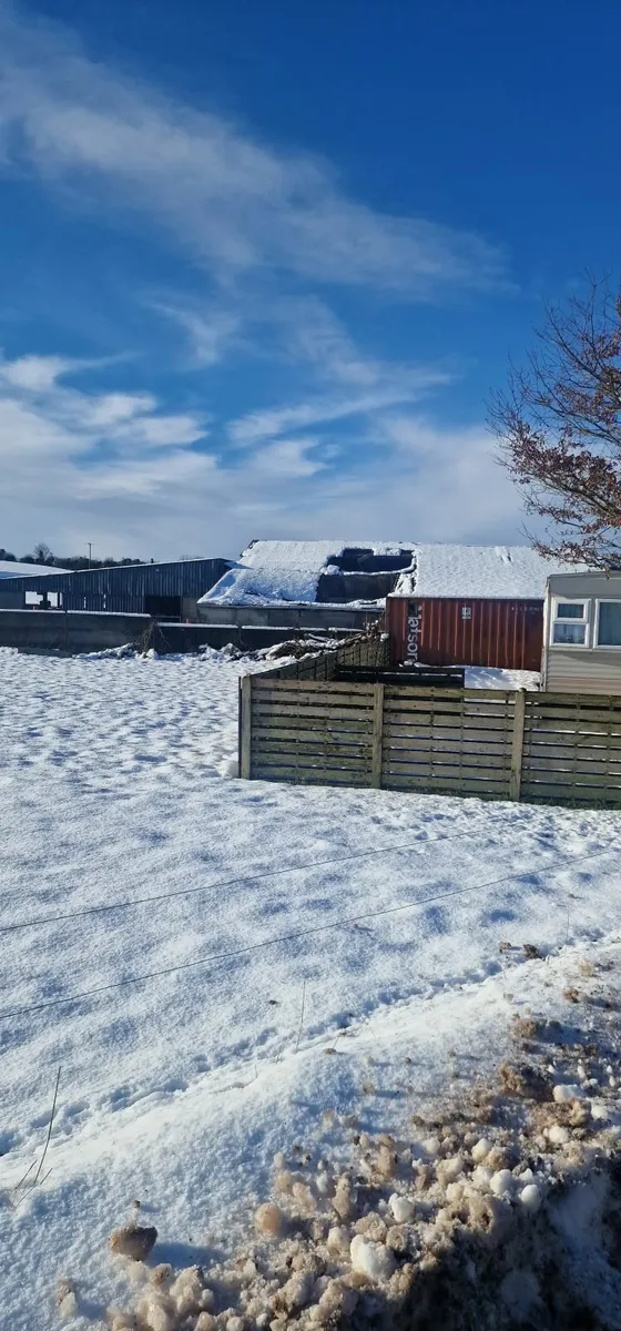 Shed repairs - Image 1