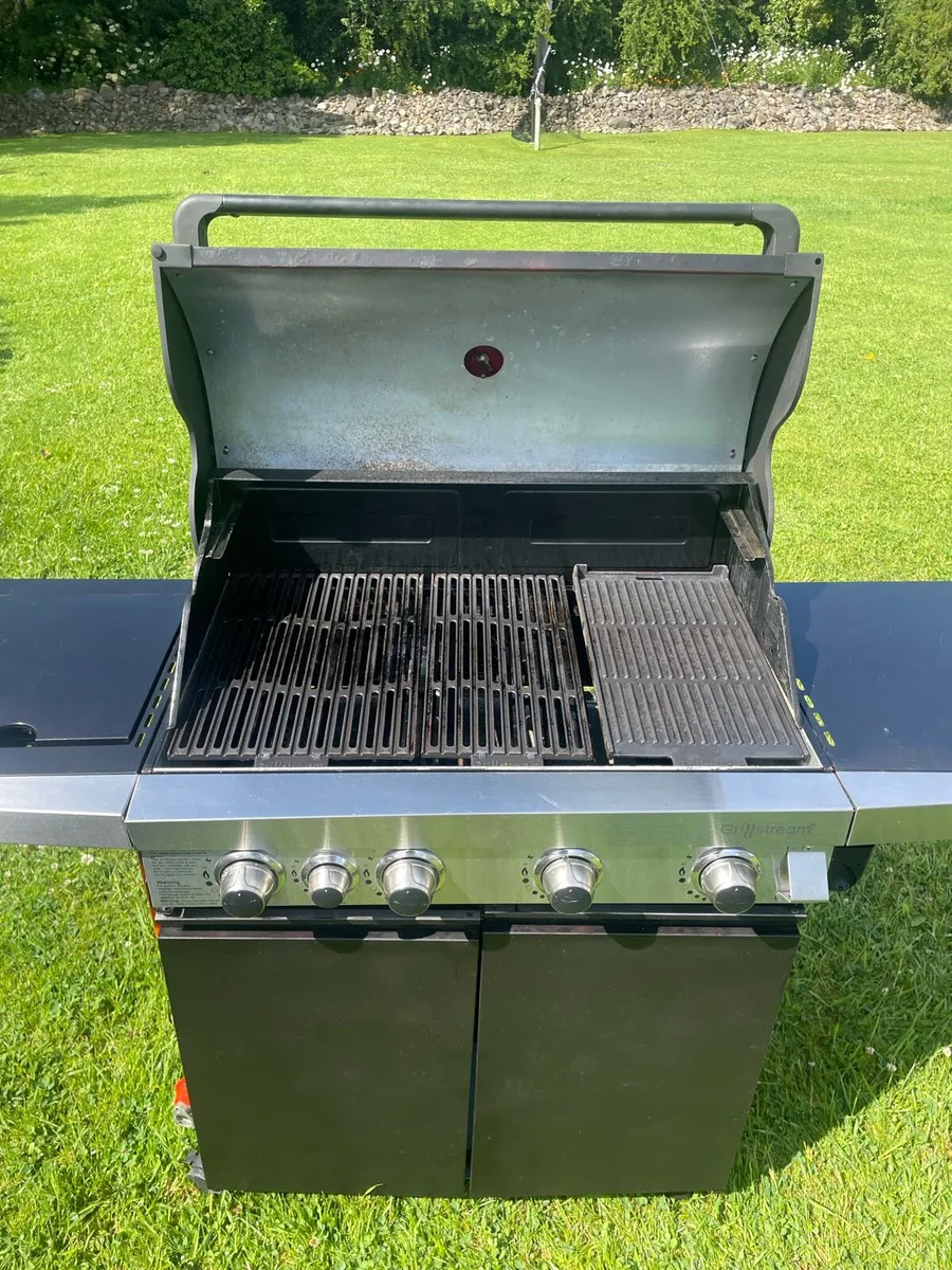 BBQ - Image 4