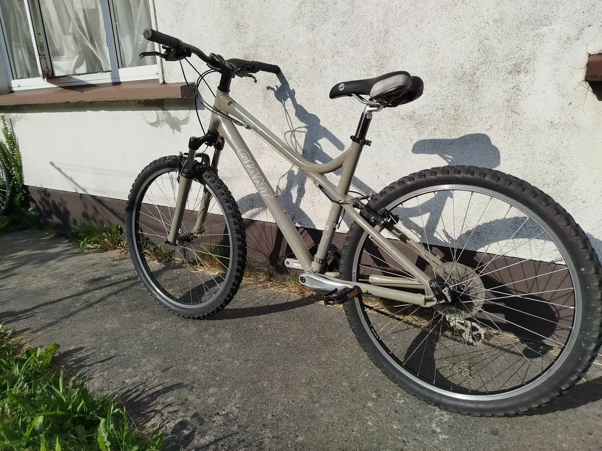 Giant Boulder Mountain Bike - Image 1