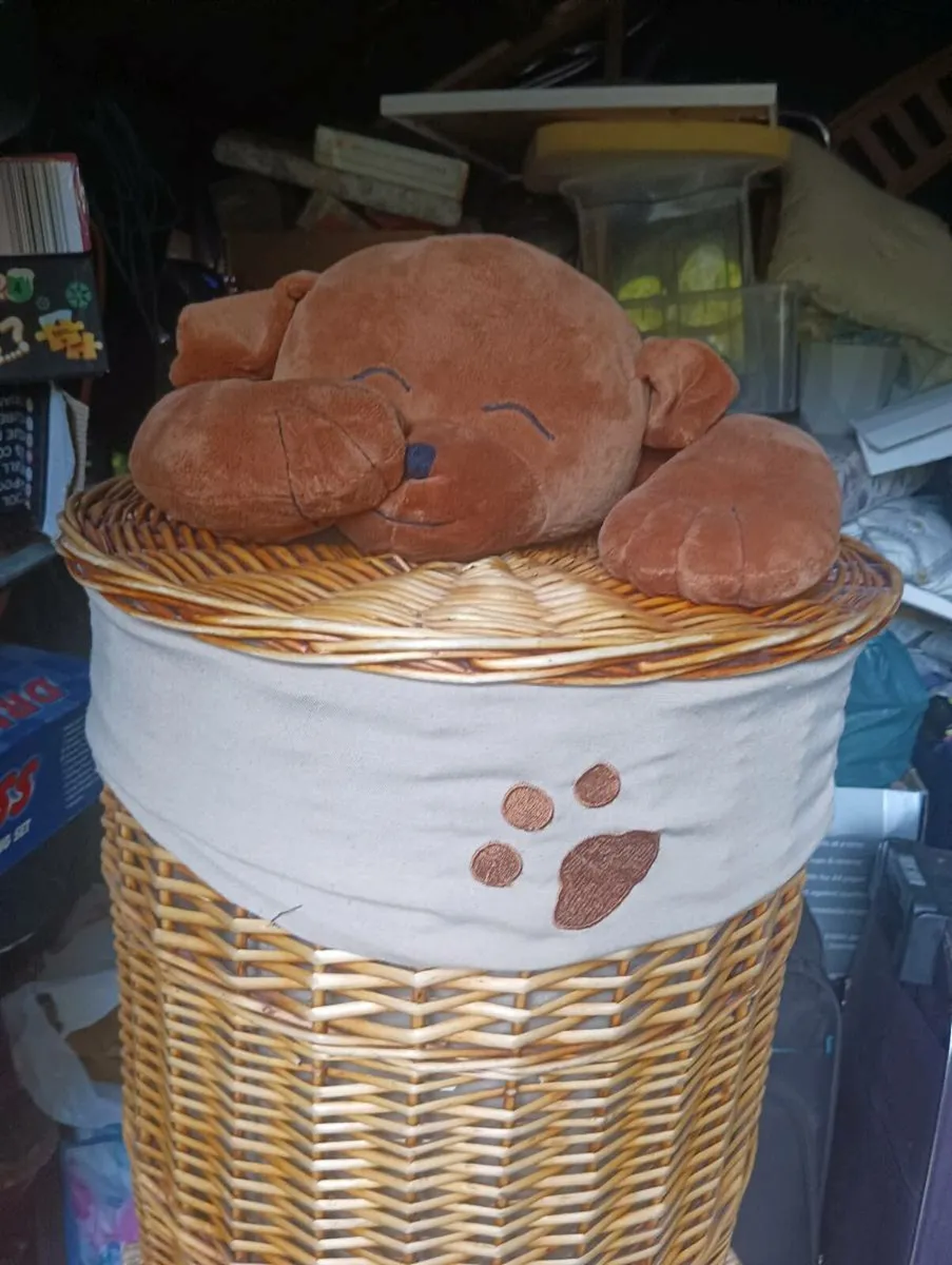 Laundry basket perfect condition - Image 1