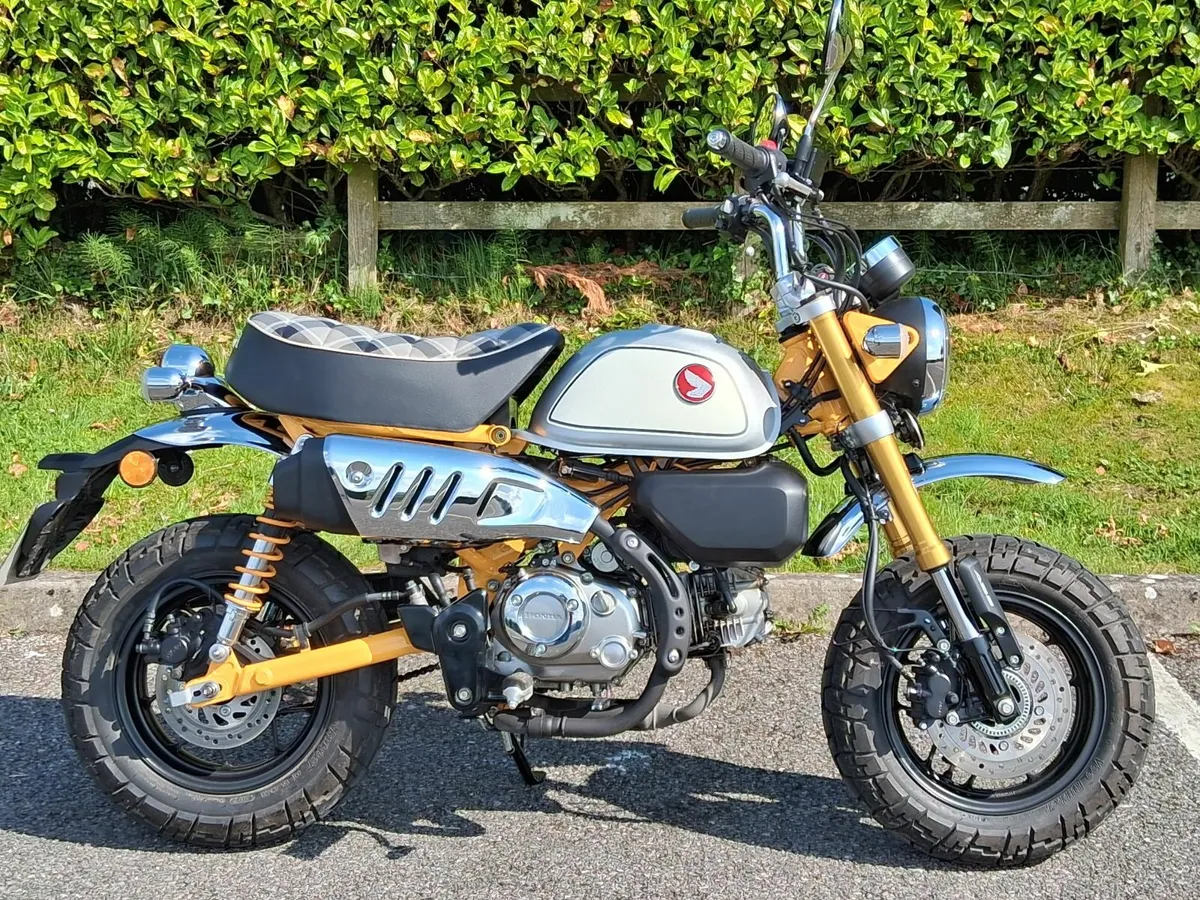 241  Honda Monkey Z125 - As New - Image 1