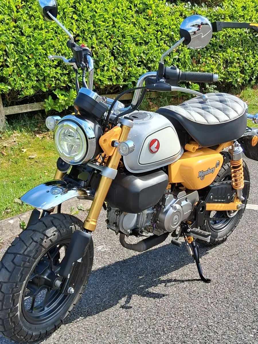 241  Honda Monkey Z125 - As New - Image 3