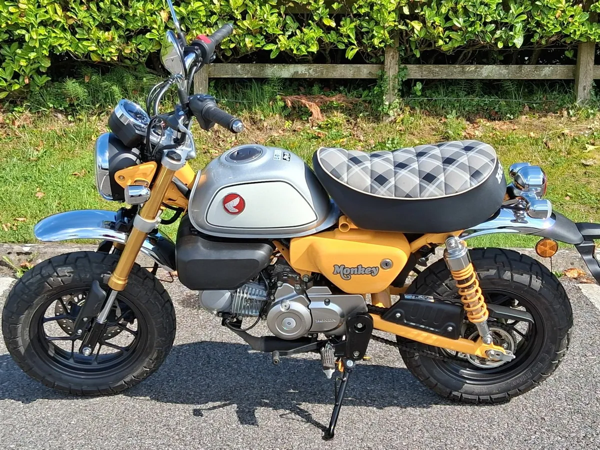 241  Honda Monkey Z125 - As New - Image 4