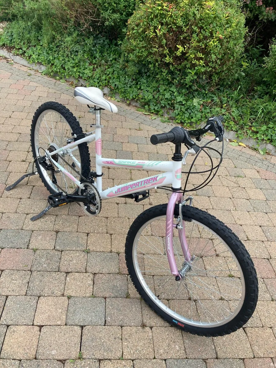 Jumper trek girls mountain bike - Image 1