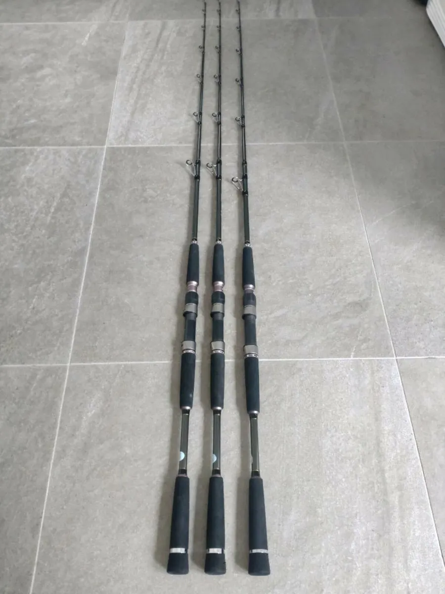 Trolling rods x3 - Image 1
