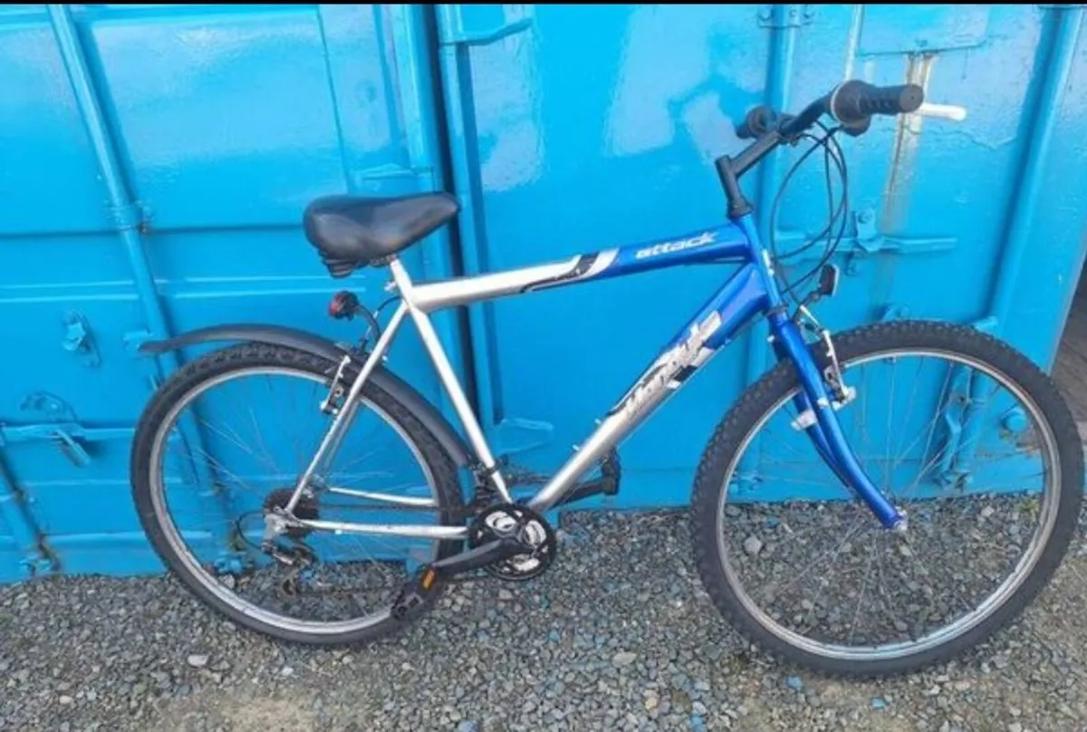 Bike - Image 1
