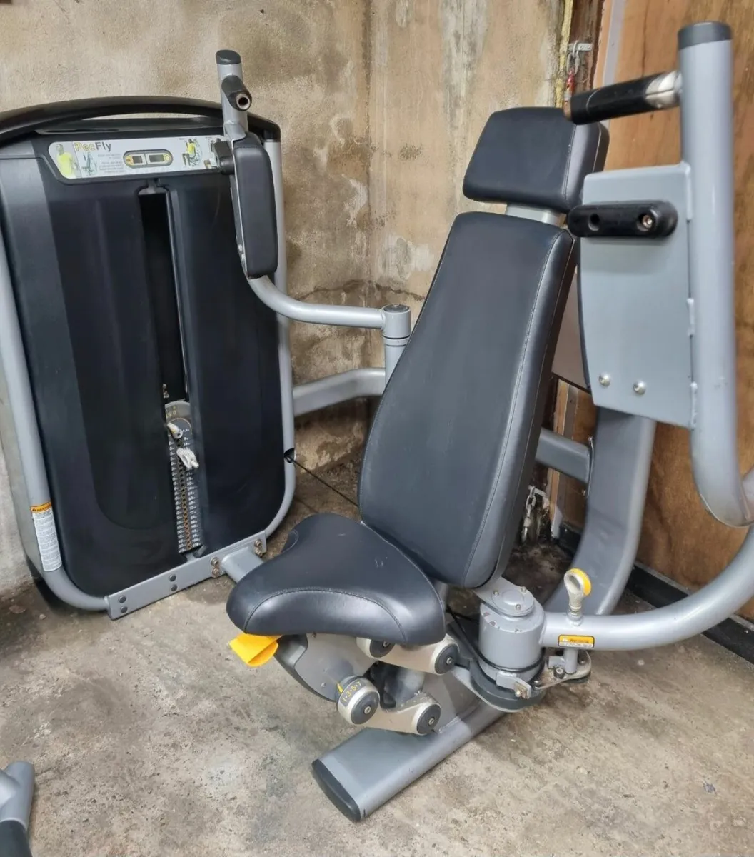 Matrix Chest Press - Image 1