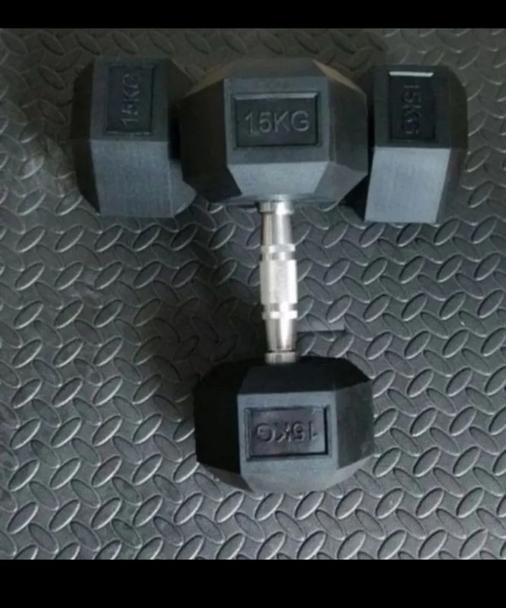 15 kg dumbbells - Image 1