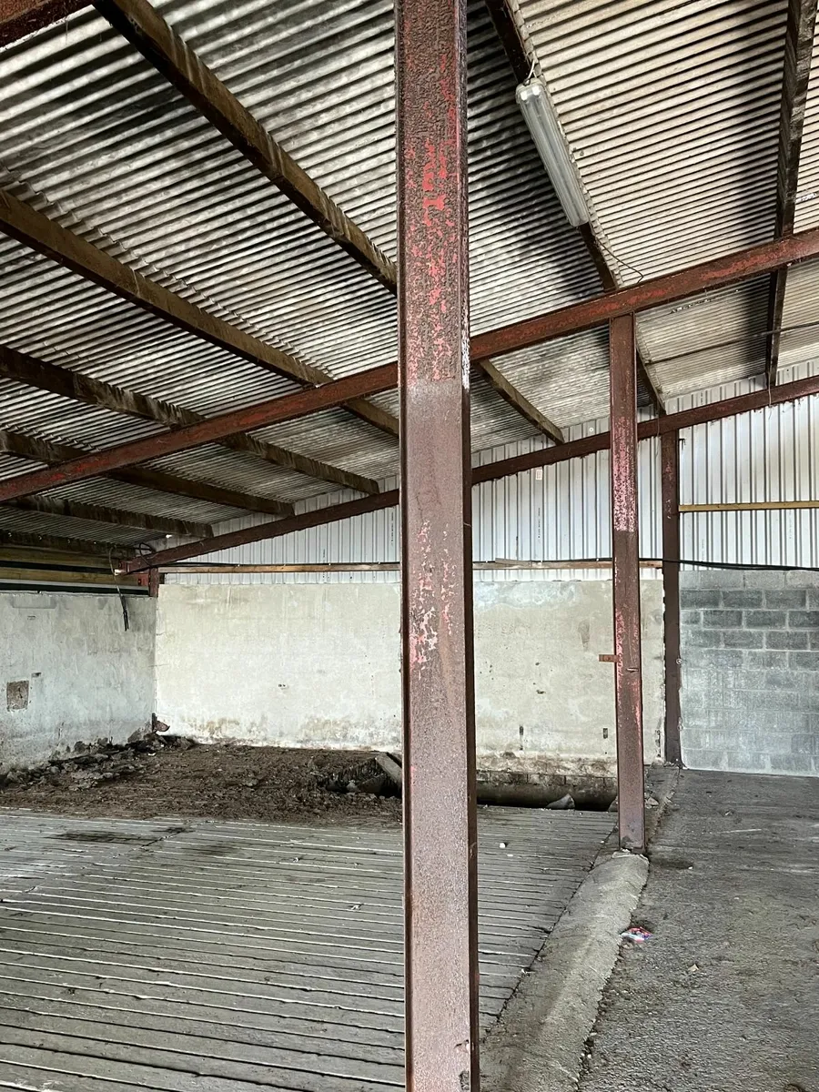 Feed Barriers, steel, Shed Timbers & Slats - Image 1