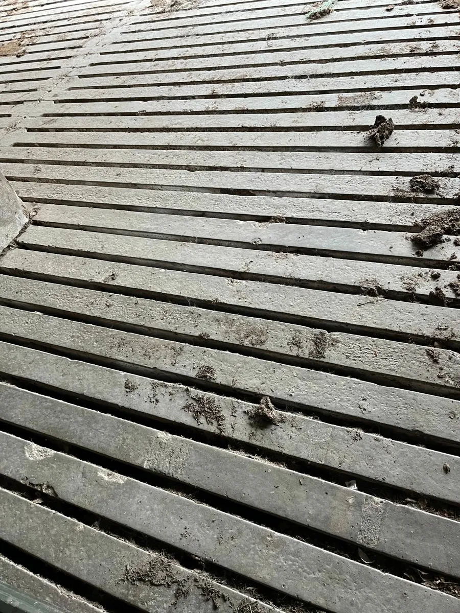 Feed Barriers, steel, Shed Timbers & Slats - Image 3