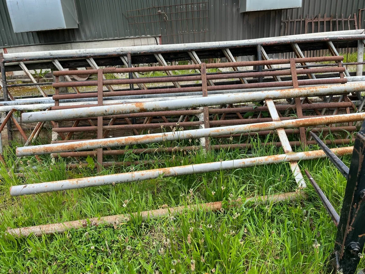 Feed Barriers, steel, Shed Timbers & Slats - Image 4