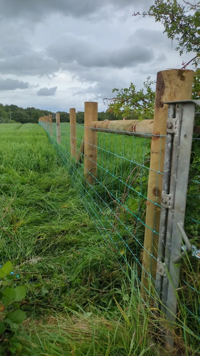 Fencing in mid ulster - Image 1