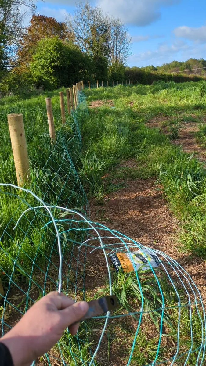 Fencing in mid ulster - Image 2