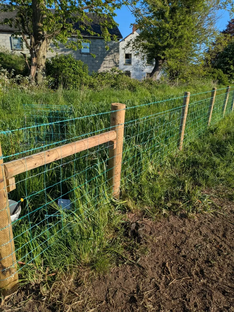 Fencing in mid ulster - Image 3
