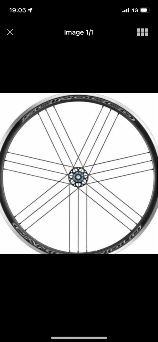 Campagnolo Scirocco C17 Rear Wheel 28" | Clincher