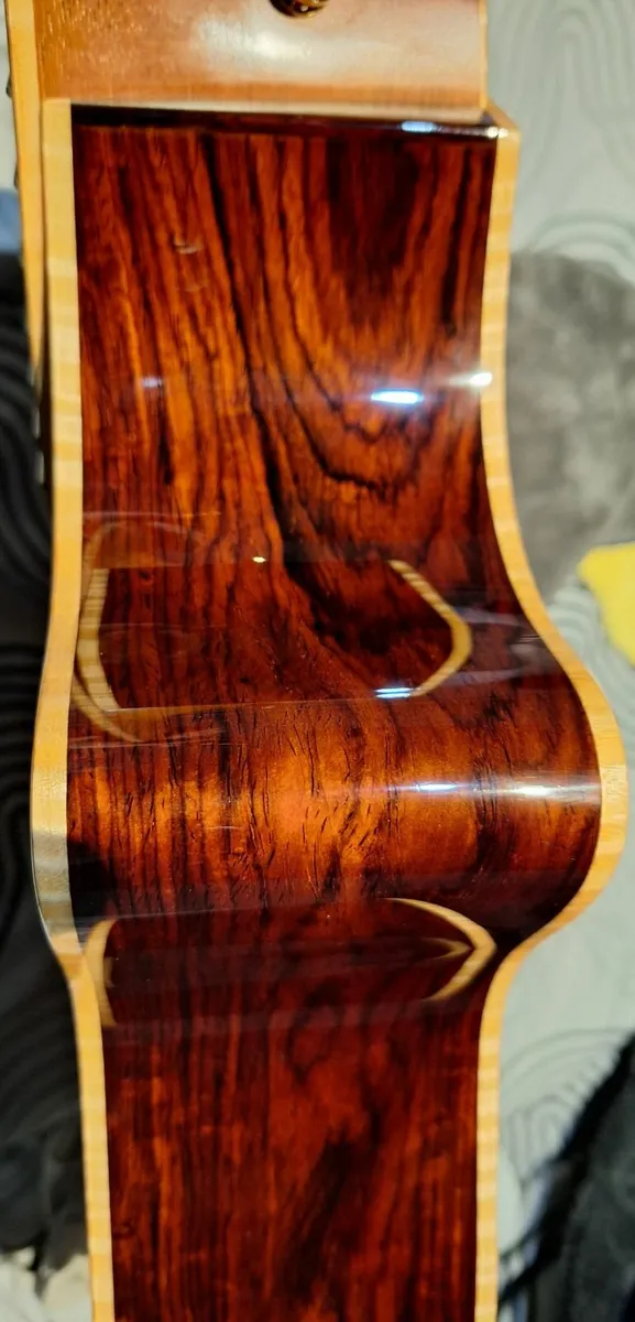 Taylor Fall Limited Edition Cocobolo 2011. - Image 3