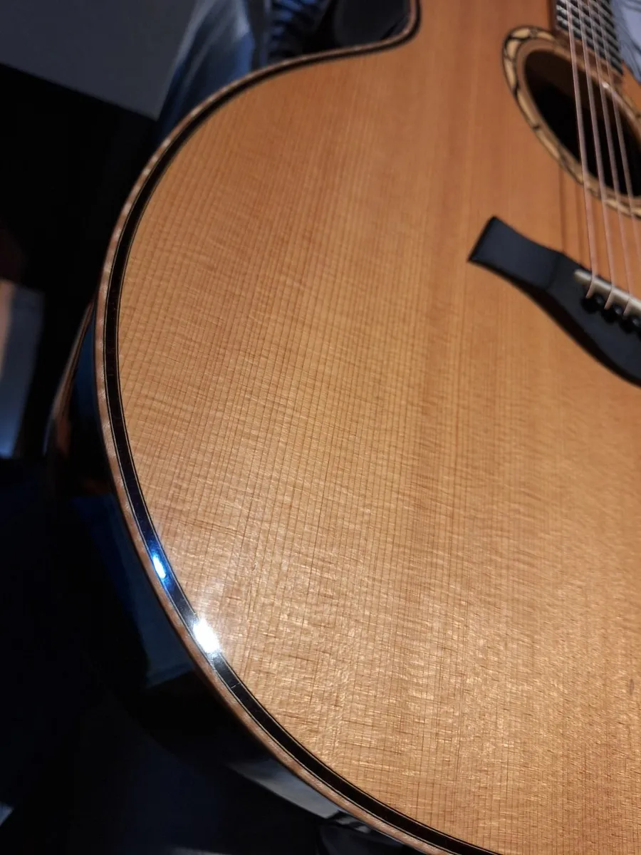 Taylor Fall Limited Edition Cocobolo 2011. - Image 1