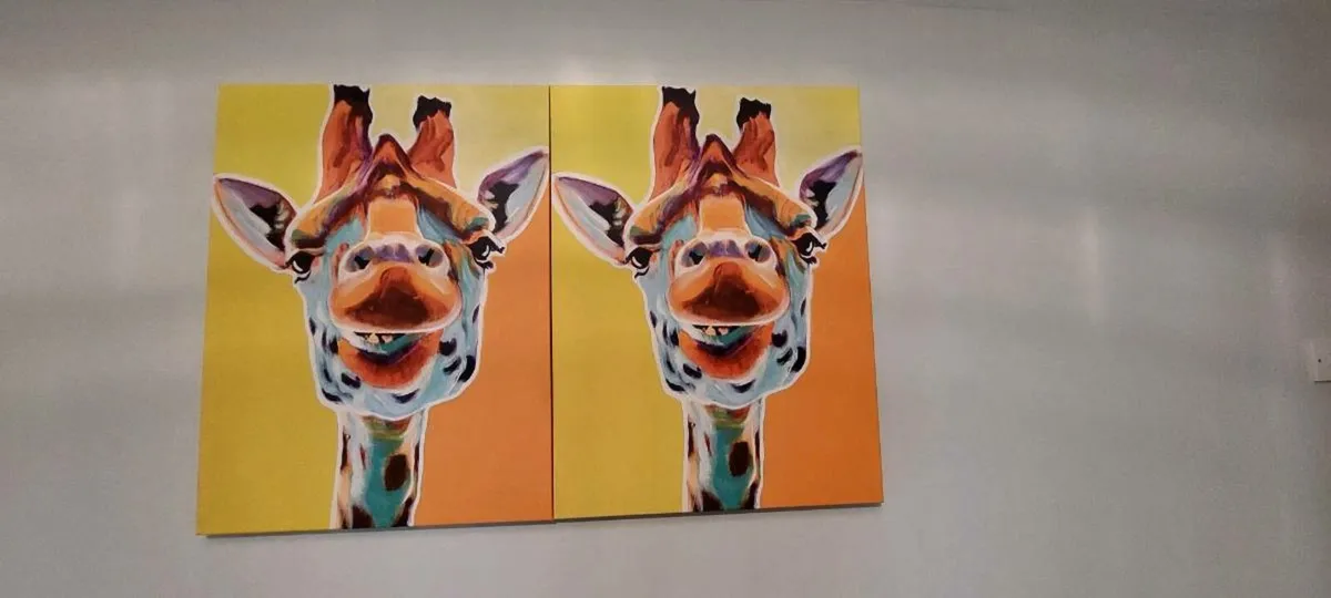 Canvas - Image 2