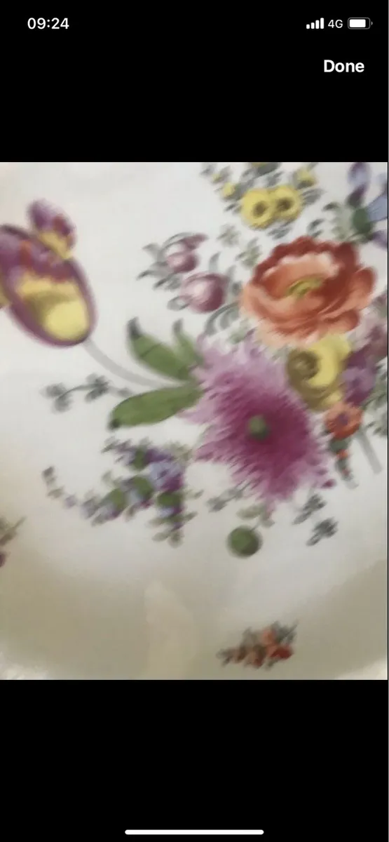 Antique Hand Painted Meissen Dish - Image 2