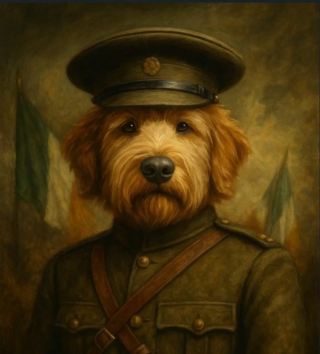 Framed Irish Hero Pet Portraits! - Image 1