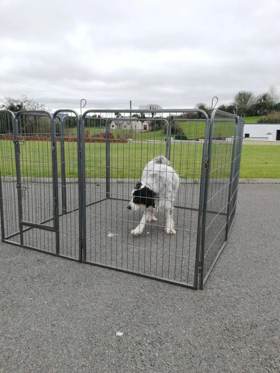 8 Panel Dog enclosure kennel Free Delivery - Image 4