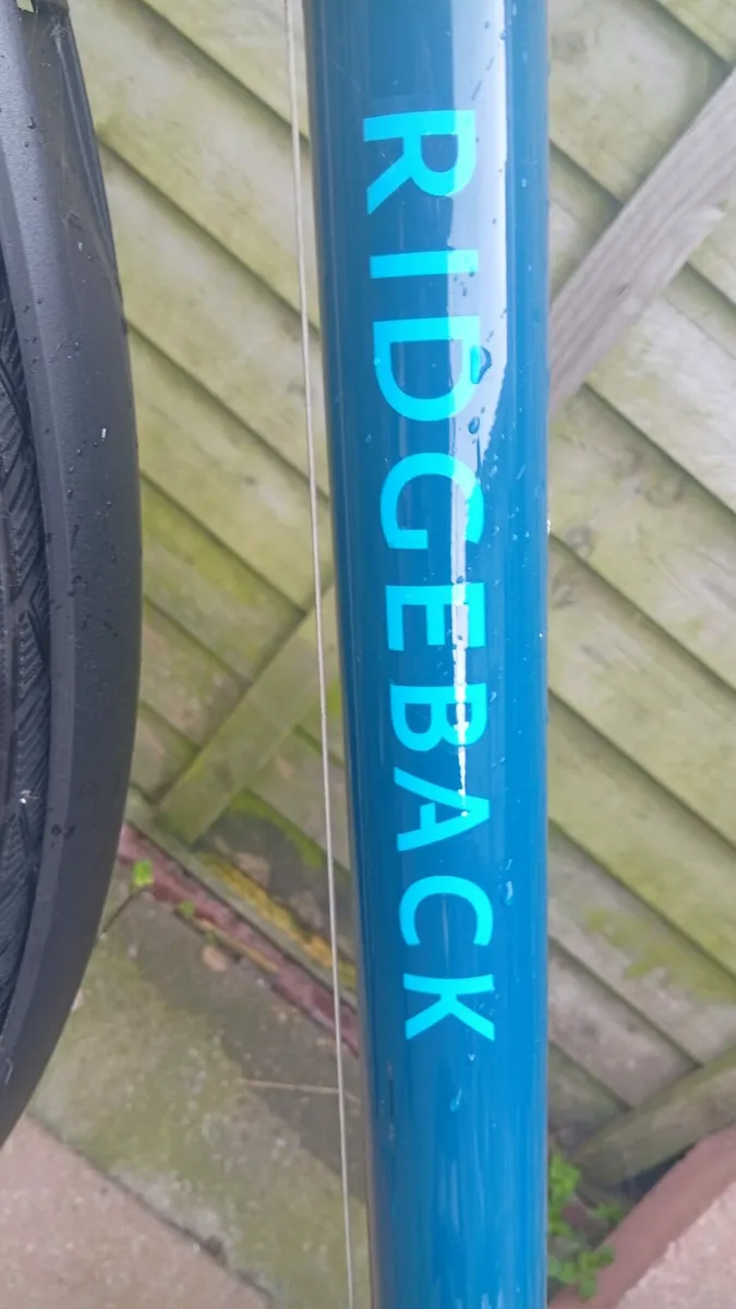 Bike woman's Ridgeback - Image 3