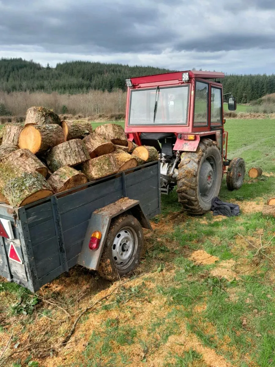 Massey - Image 2