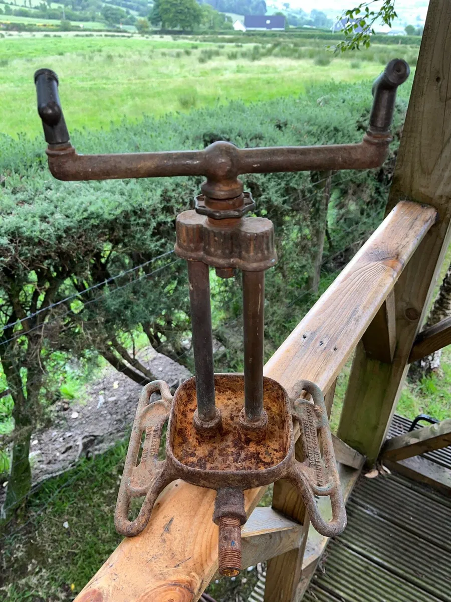 Pair of Vintage Rain King Cast Iron Sprinklers - Image 2