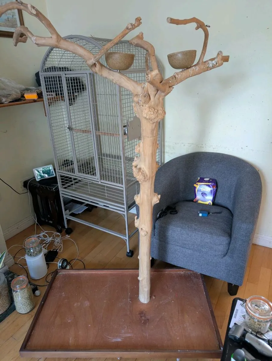 Java Tree