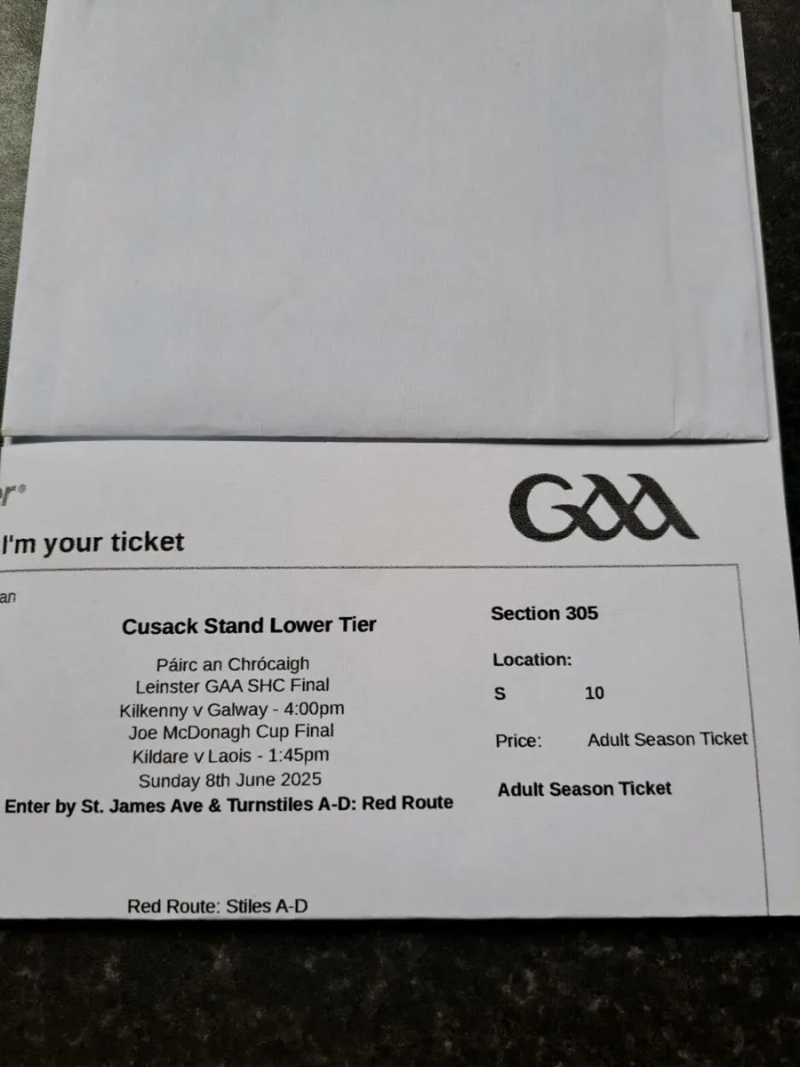Hurling ticket - Image 1