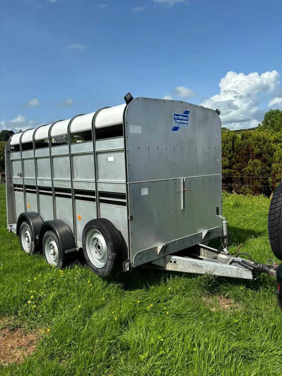 Ifor Williams 12x6 cattle box - Image 1