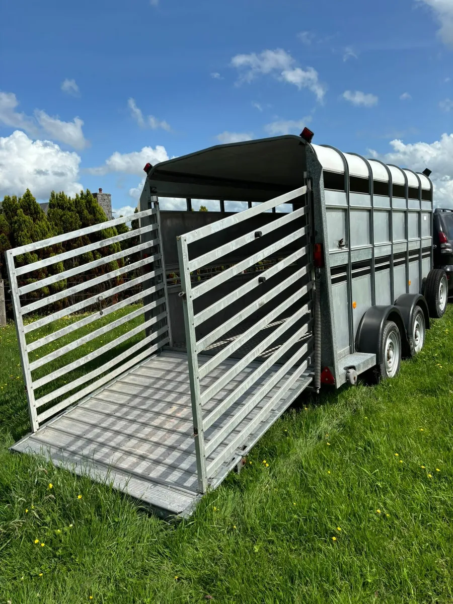 Ifor Williams 12x6 cattle box - Image 2