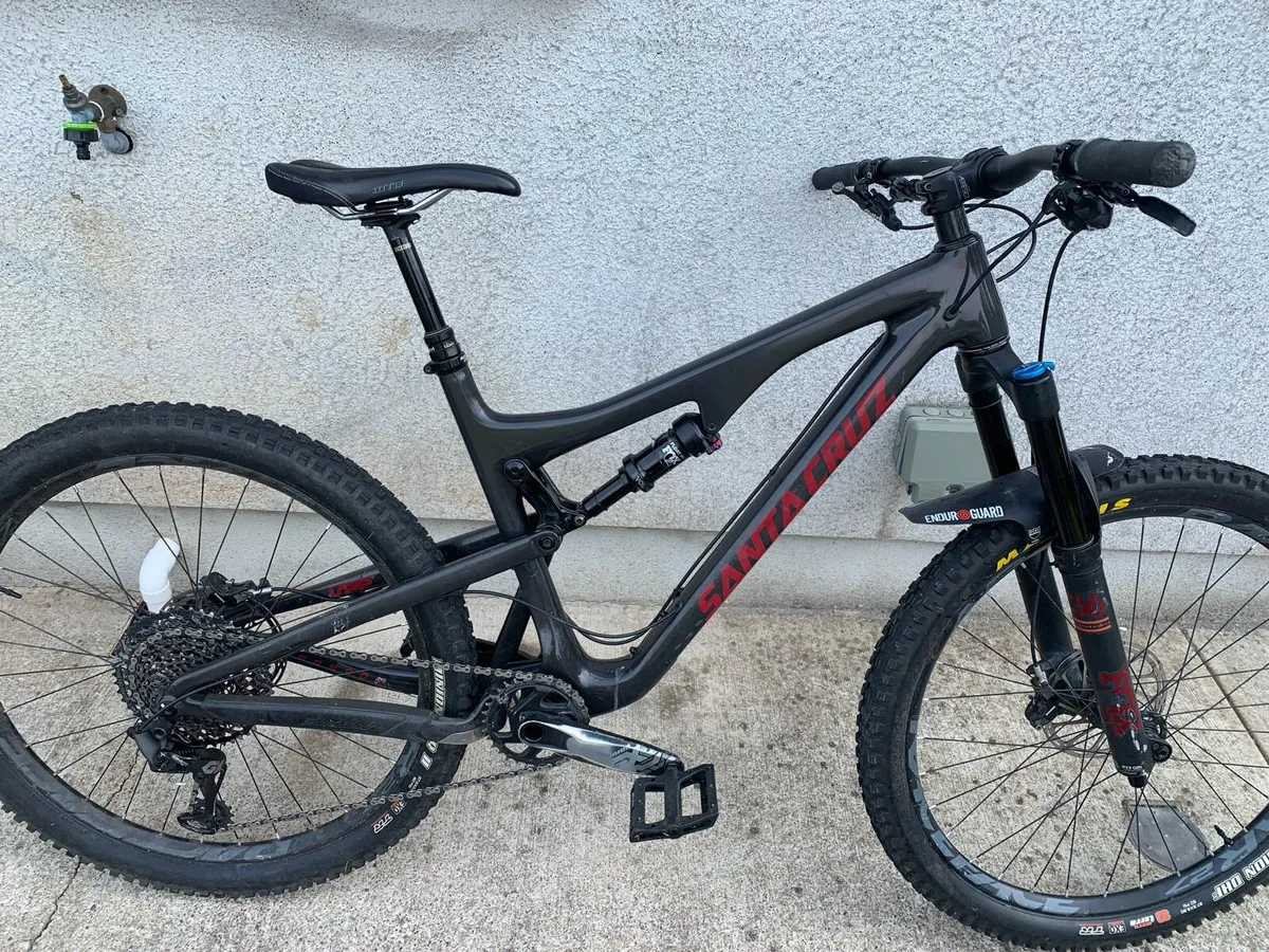 Santa Cruz bronson - Image 3