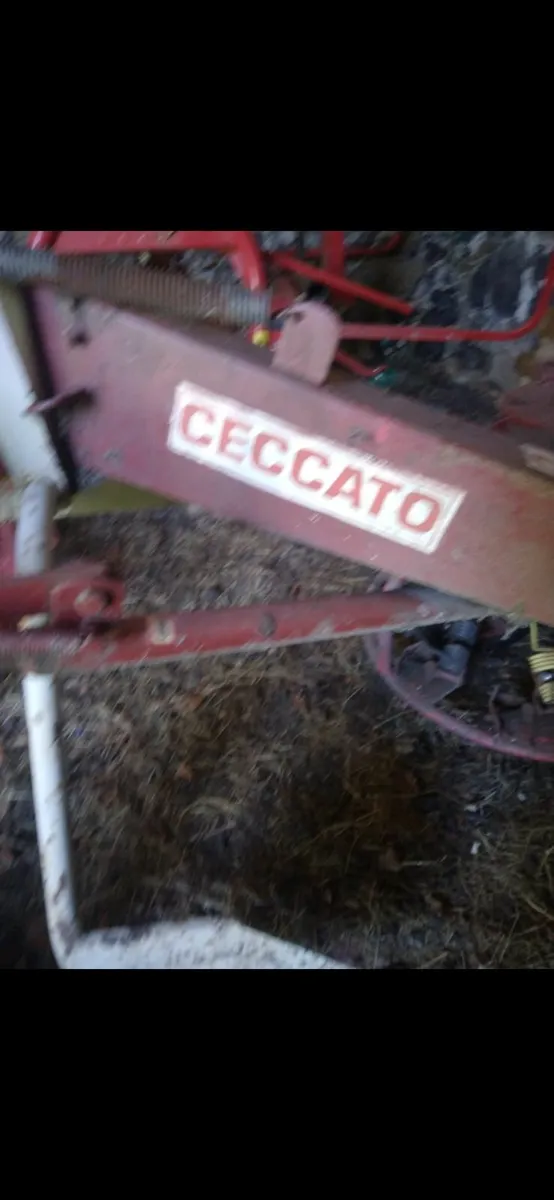 Ceccato haykicker - Image 3