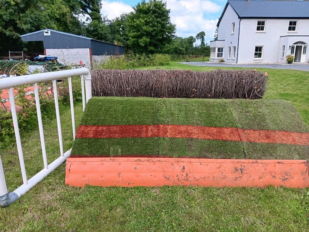 Schooling jumps - Image 1